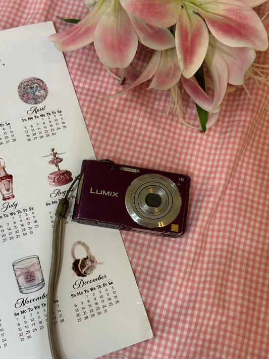 Lumix FH5 (Violet)