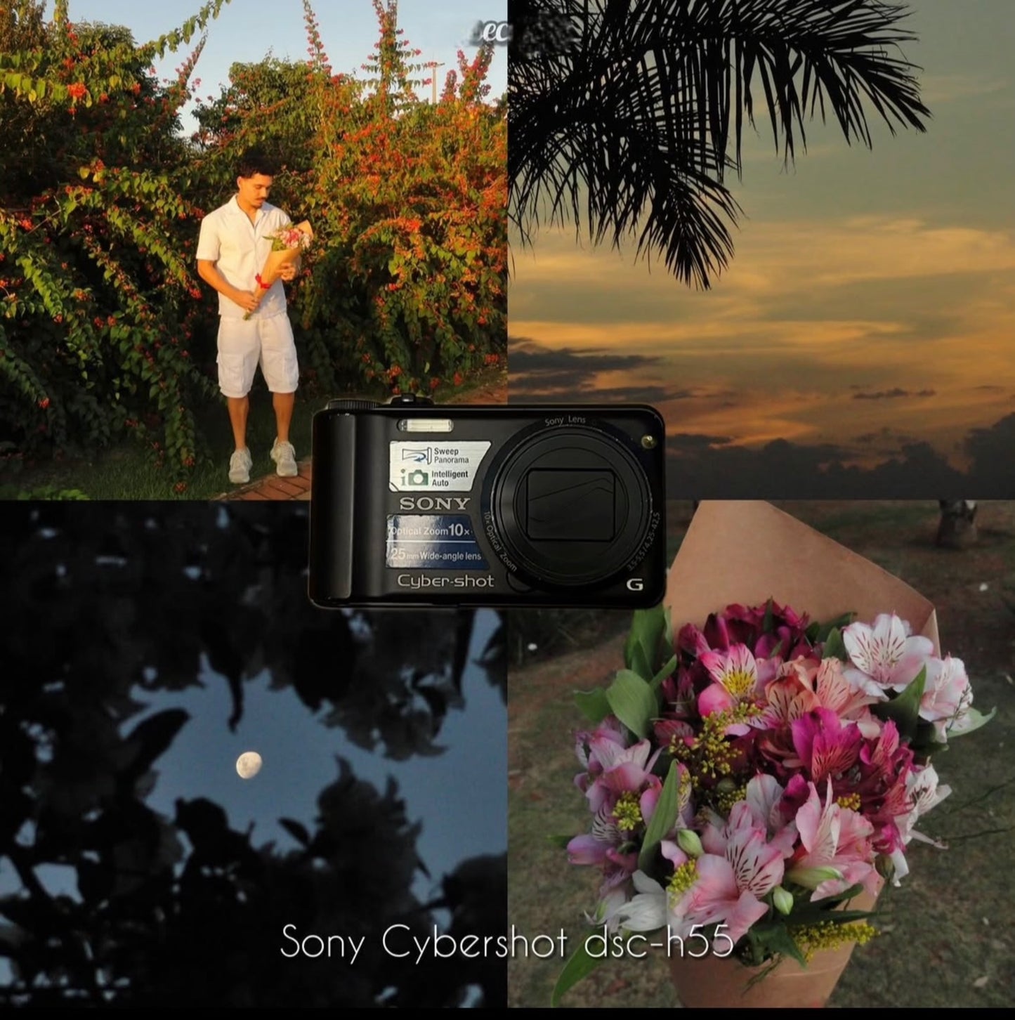 Sony Cybershot H55