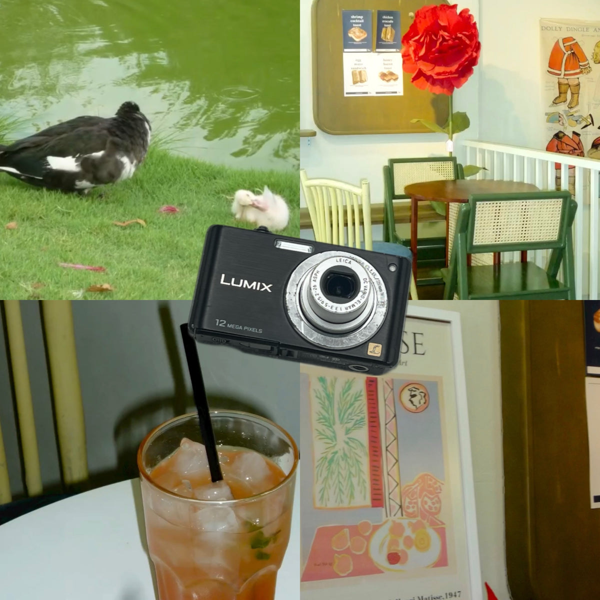 Panasonic Lumix FS15 Digicam (Black)