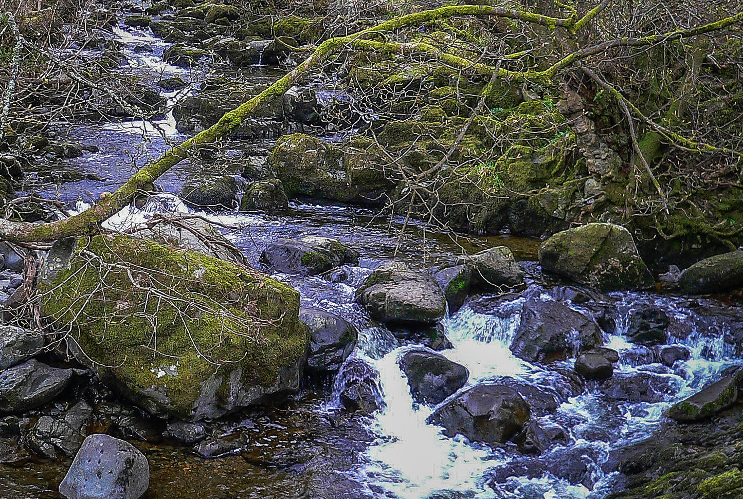Lumix FX7