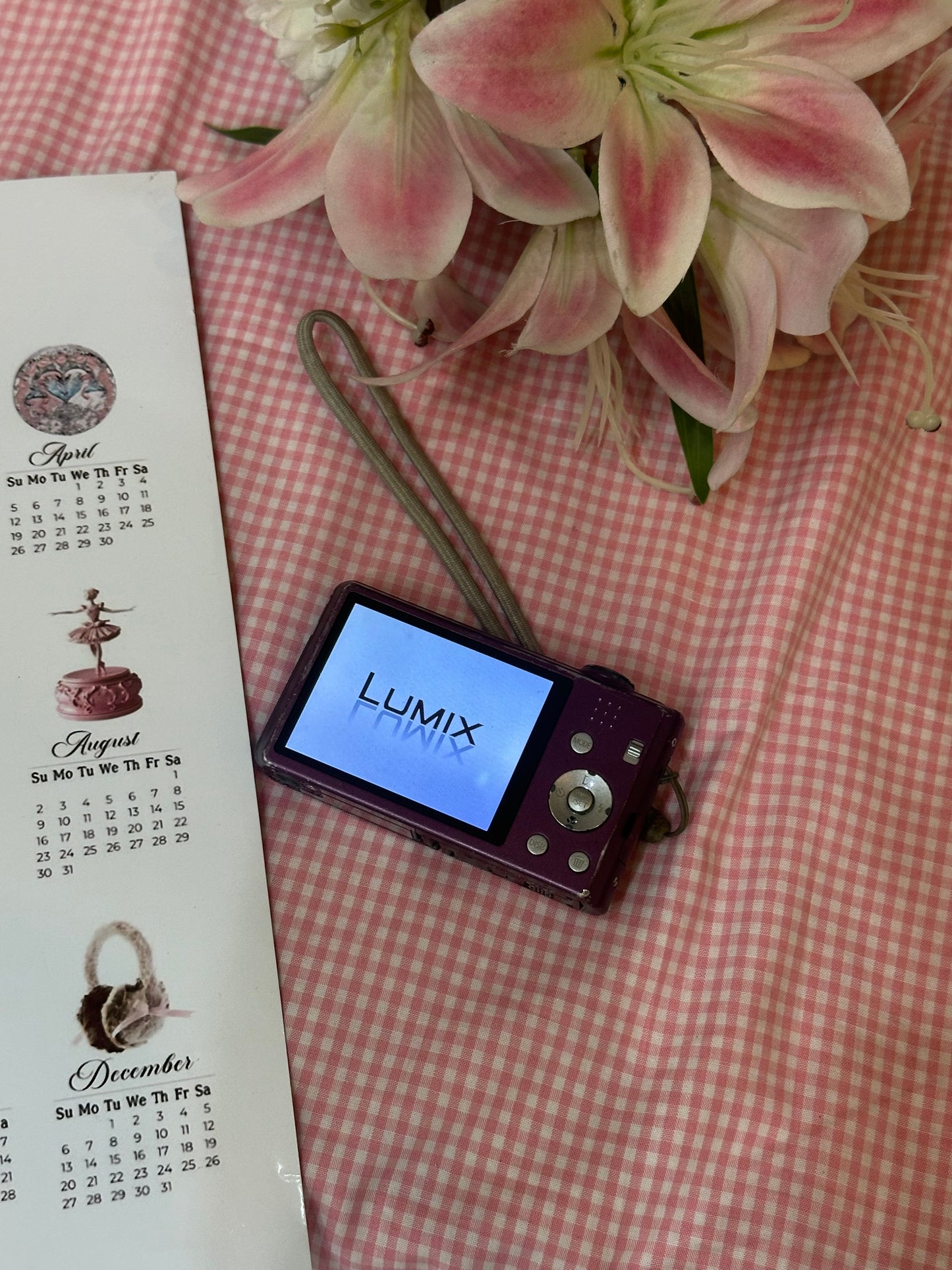 Lumix FH5 (Violet)