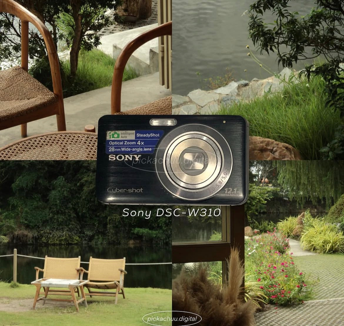 Sony Cyber-shot DSC-W310 Digicam